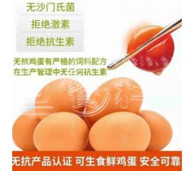 朝一 无菌蛋（90枚/箱）