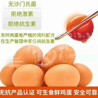 朝一 无菌蛋（90枚/箱）